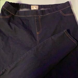 Jeggings by Bobbie Brooks 2X